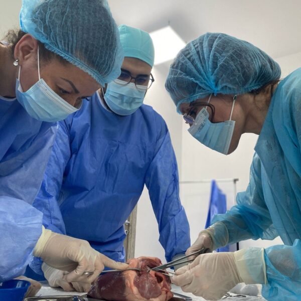 Study Dentistry in Ukraine at Kharkiv Institute of Medicine and Biomedical Sciences